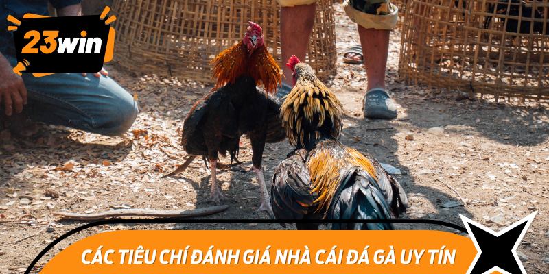 Các tiêu chí đánh giá nhà cái đá gà uy tín và chất lượng nhất hiện nay