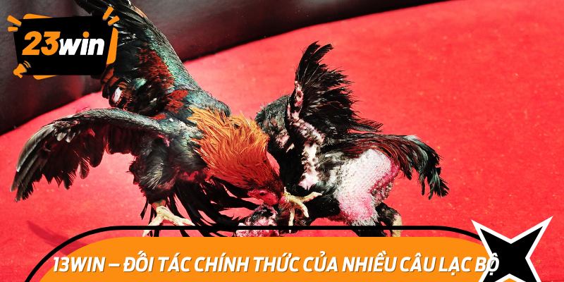 28bet – Phù hợp cho cược thủ yêu thích sự đổi mới và tiện lợi