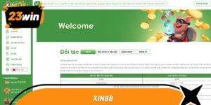xin88 1
