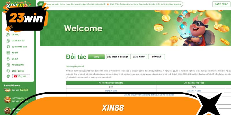 xin88 1