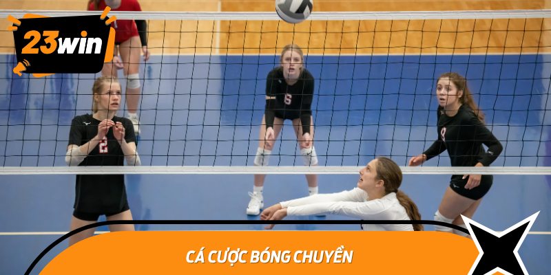ca cuoc bong chuyen 1