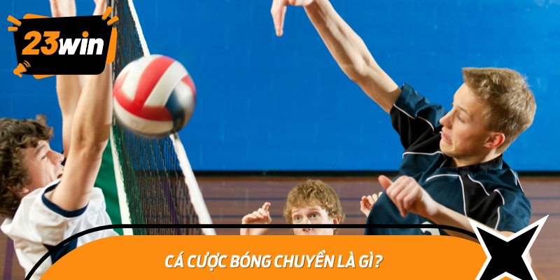 Cá cược bóng chuyền là gì?